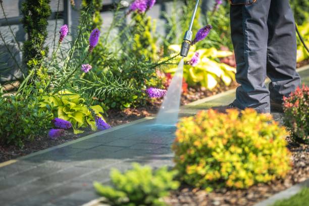 Best Brick and Stone Cleaning in Middleburg, PA